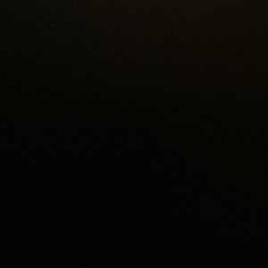 Meet your Posher, Leela